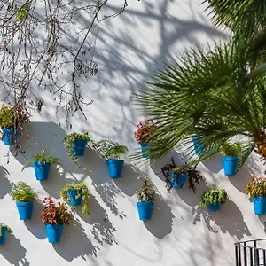 https://estudio-con-vistas-al-mar-en-marbella-a-100-metros-de-la-playa.1costadelsol.com